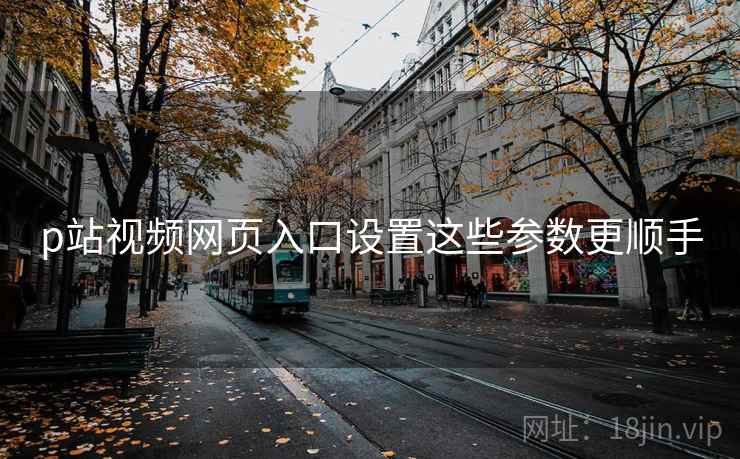 p站视频网页入口设置这些参数更顺手  第1张