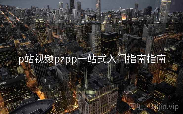 p站视频pzpp一站式入门指南指南  第2张