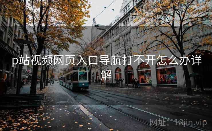 p站视频网页入口导航打不开怎么办详解  第1张