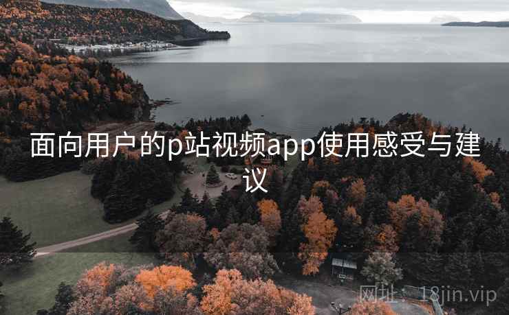 面向用户的p站视频app使用感受与建议 第1张 面向用户的p站视频app使用感受与建议 第1张