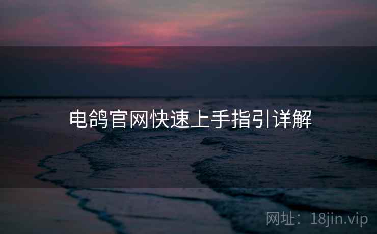 电鸽官网快速上手指引详解 第2张 电鸽官网快速上手指引详解 第2张