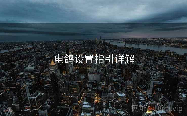 电鸽设置指引详解 第1张 电鸽设置指引详解 第1张