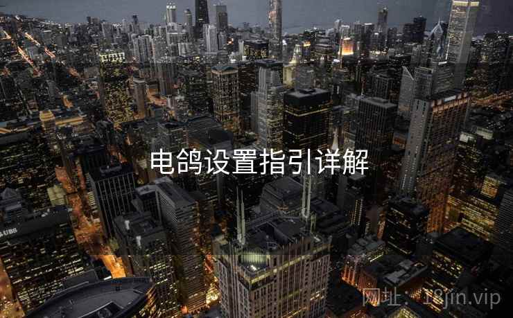 电鸽设置指引详解 第2张 电鸽设置指引详解 第2张