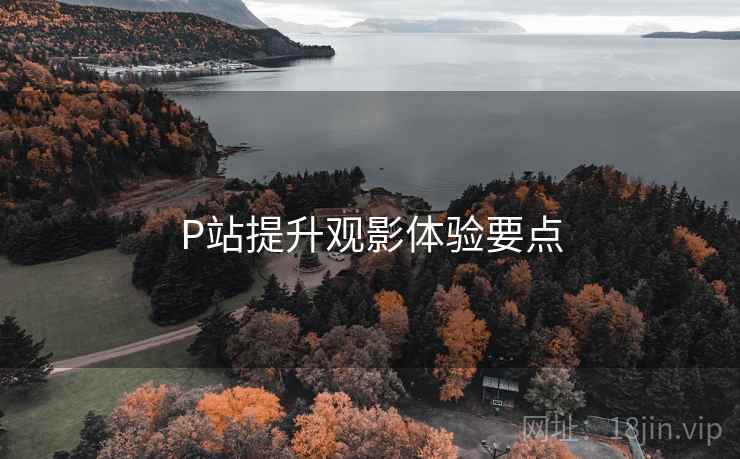 P站提升观影体验要点 第2张 P站提升观影体验要点 第2张